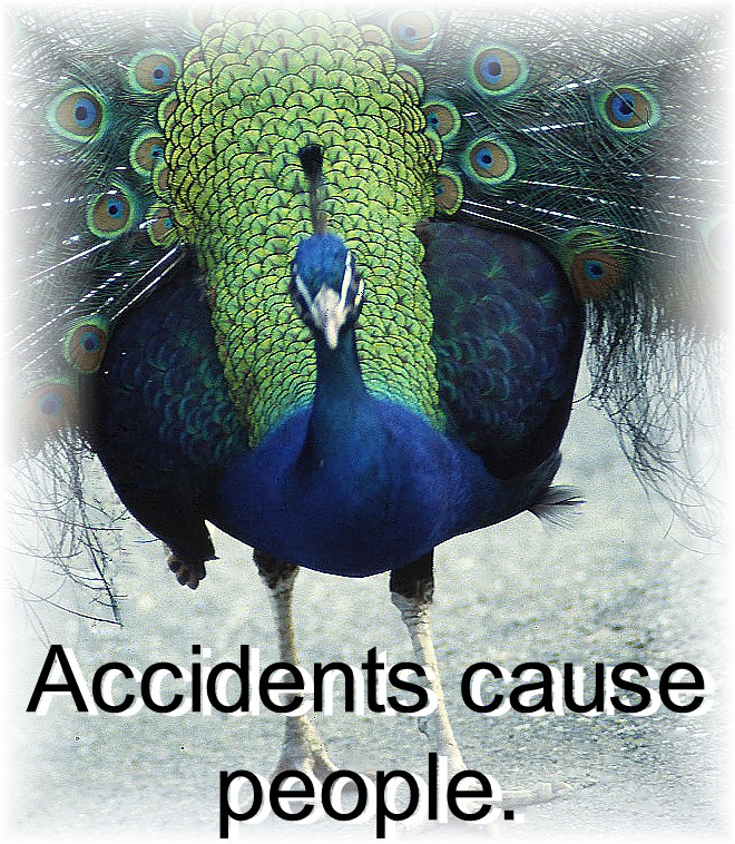 http://www.vintagephotogreetingcards.com